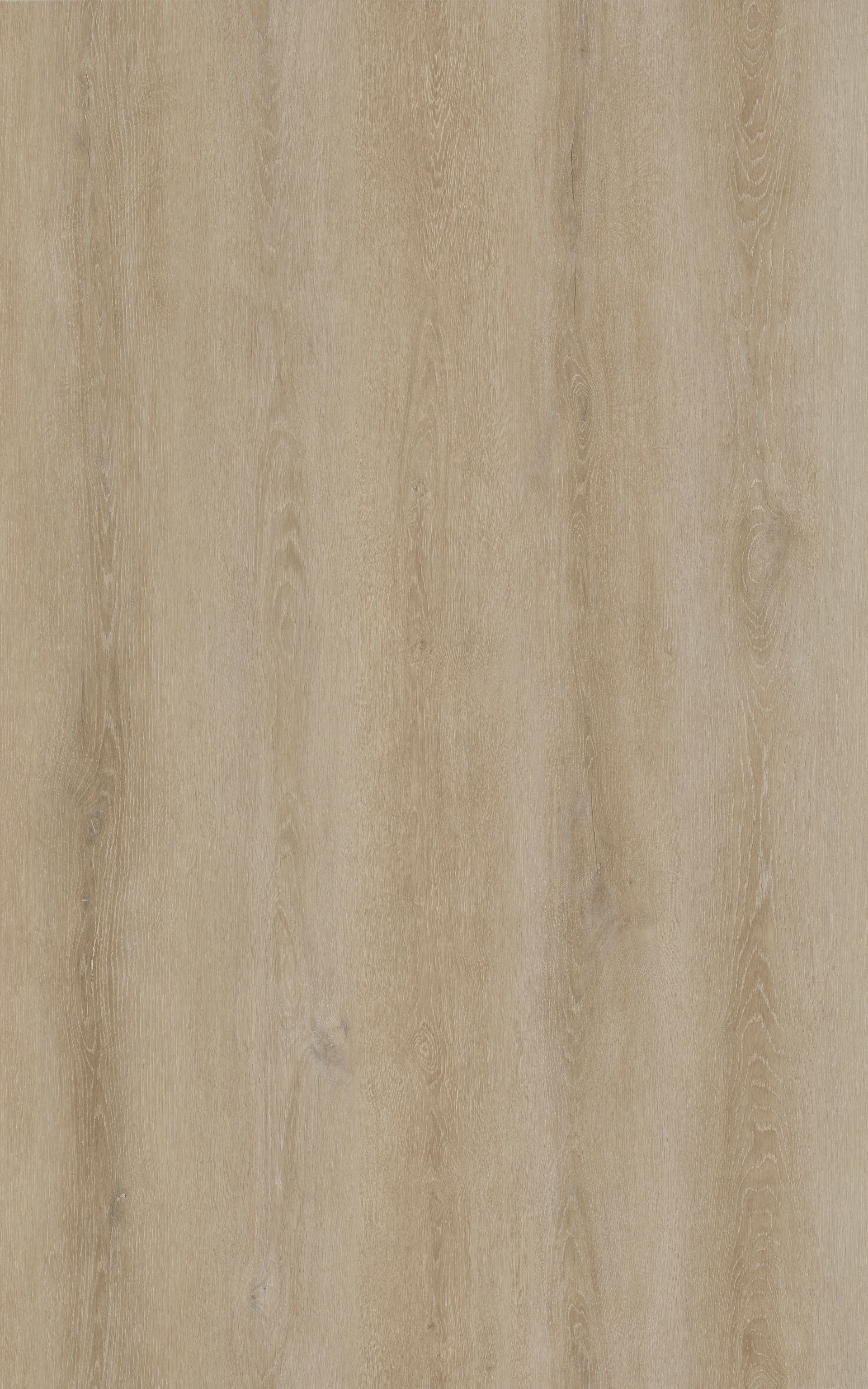 A close up of a piece of paper with a grainy texture.