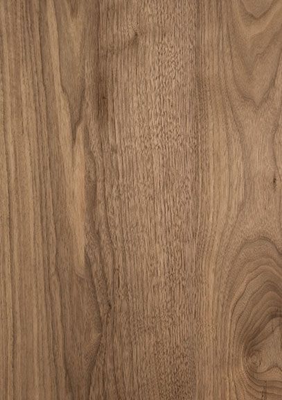 A close up of a piece of wood showing the grain and texture.