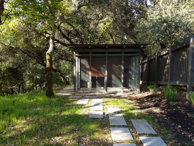 A shed is sitting in the middle of a lush green field surrounded by trees.