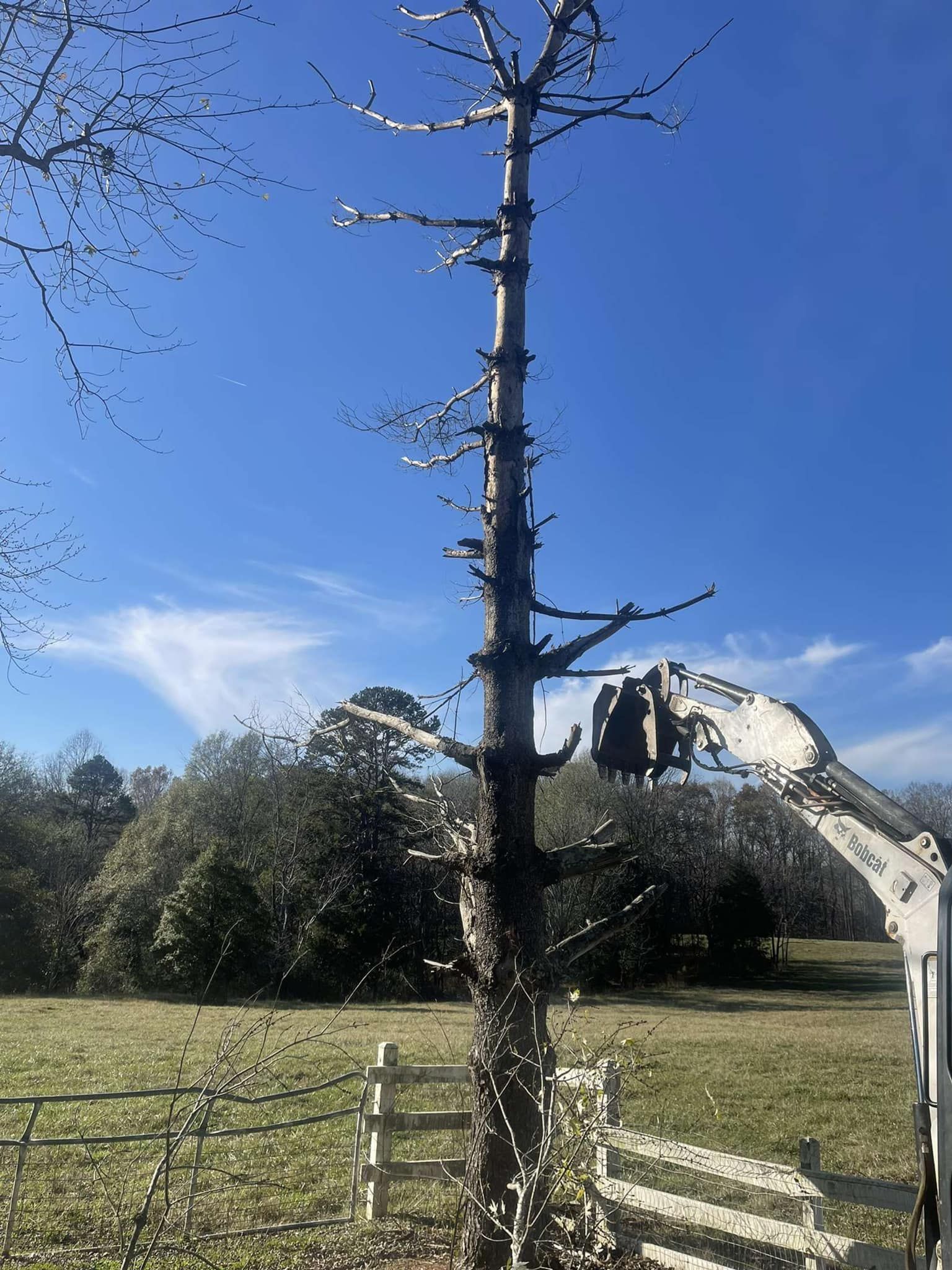 A tree is being cut down by a crane in a field.