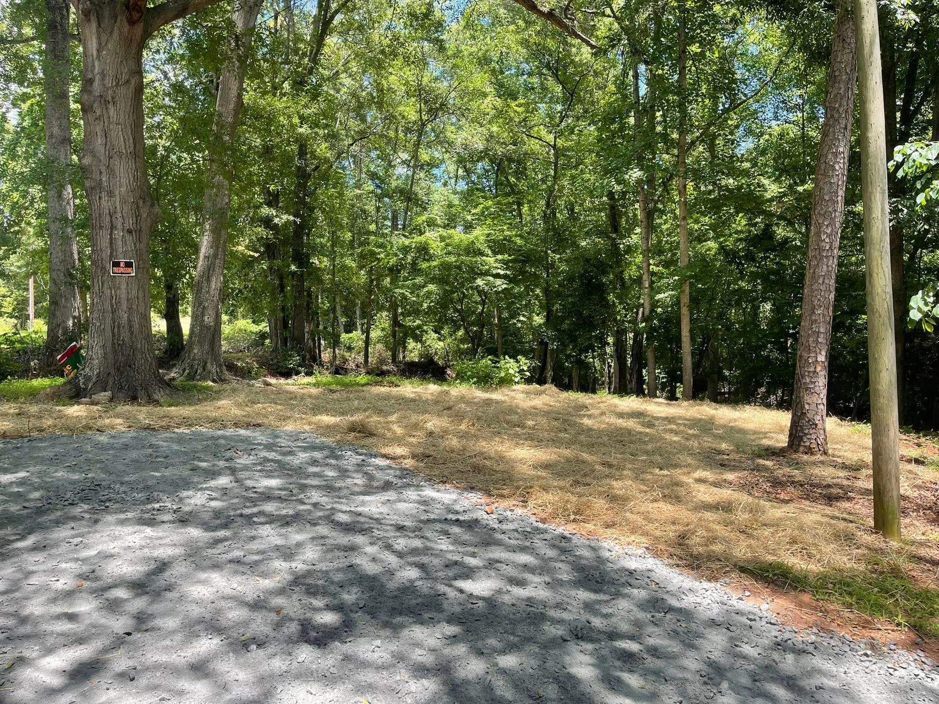 A dirt road in the middle of a forest surrounded by trees.