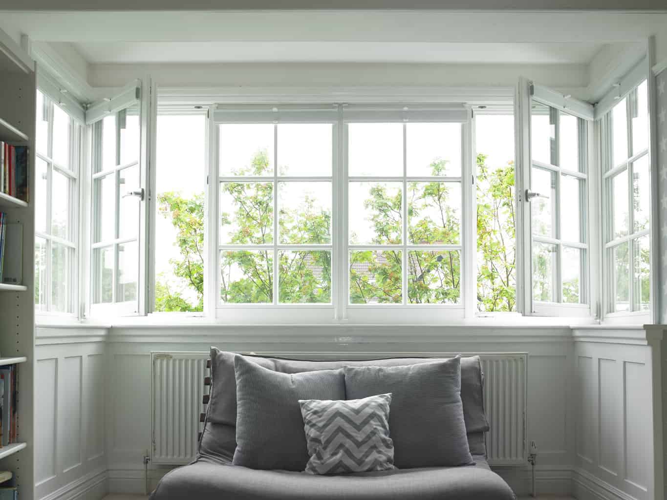 Maintenance Free Windows