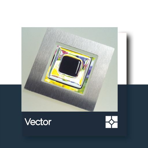 Vector.jpg
