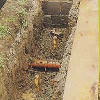 Window and door companies near me