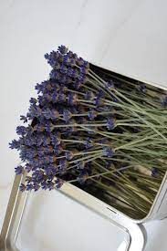 Wholesale bulk Lavender Cocktail Picks packaged for resale
