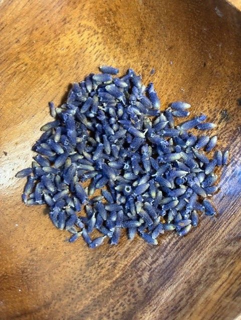 Culinary Lavender Buds