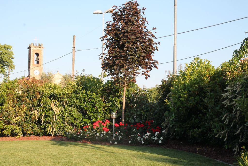 aiuola con albero e fiori in giardino interno di una villa
