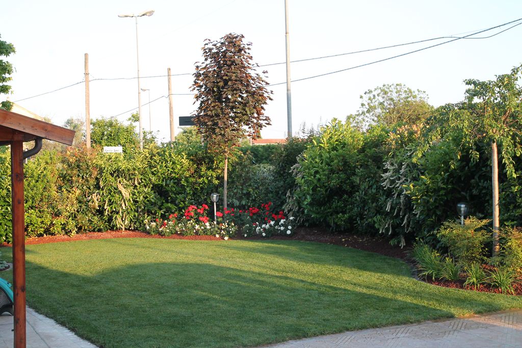 giardino interno con prato rasato