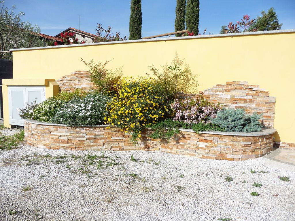 aiuola con piante in fiore