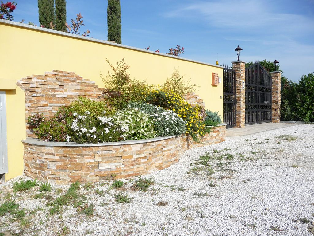 piante fiorite in un'aiula