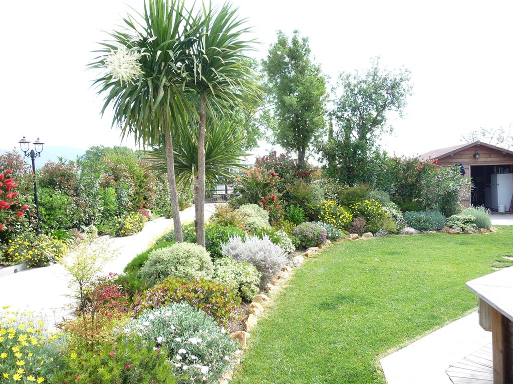 piante fiorite in ampio giardino