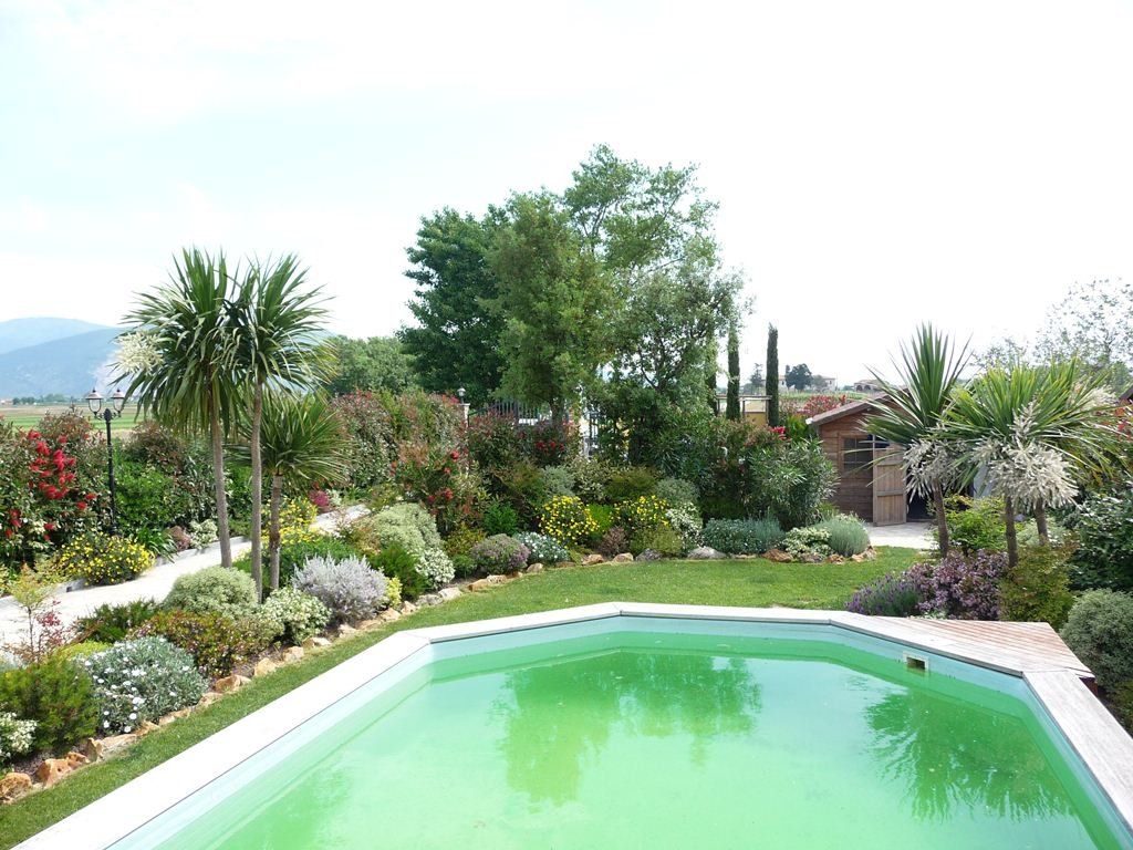 giardino a bordo piscina