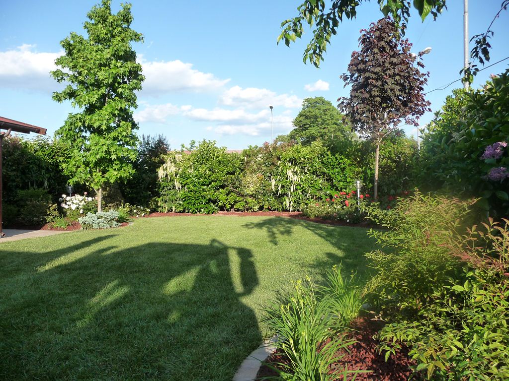 campo alberato curato