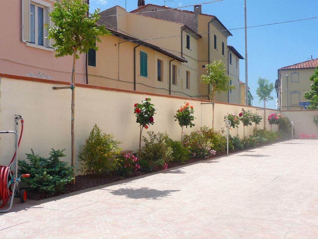 alberi di confine casa