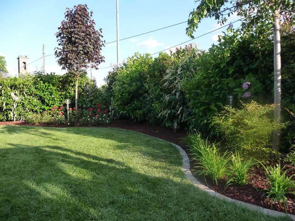 giardino interno di una villa con alberi