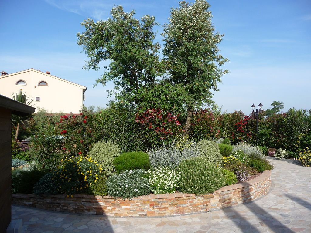 aiuola con piante e alberi