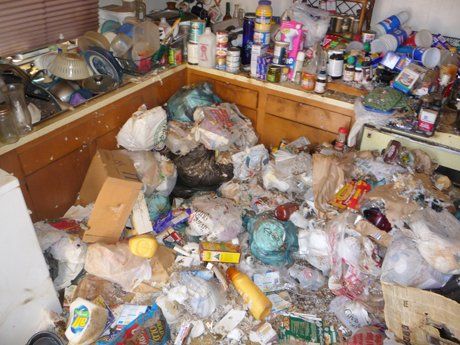 Hoarding And Biohazard Before — Denver, CO — Crystal Clean Decontamination, LLC