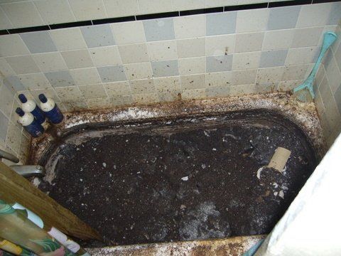 Bathtub Full Of Human Feces Before — Denver, CO — Crystal Clean Decontamination, LLC