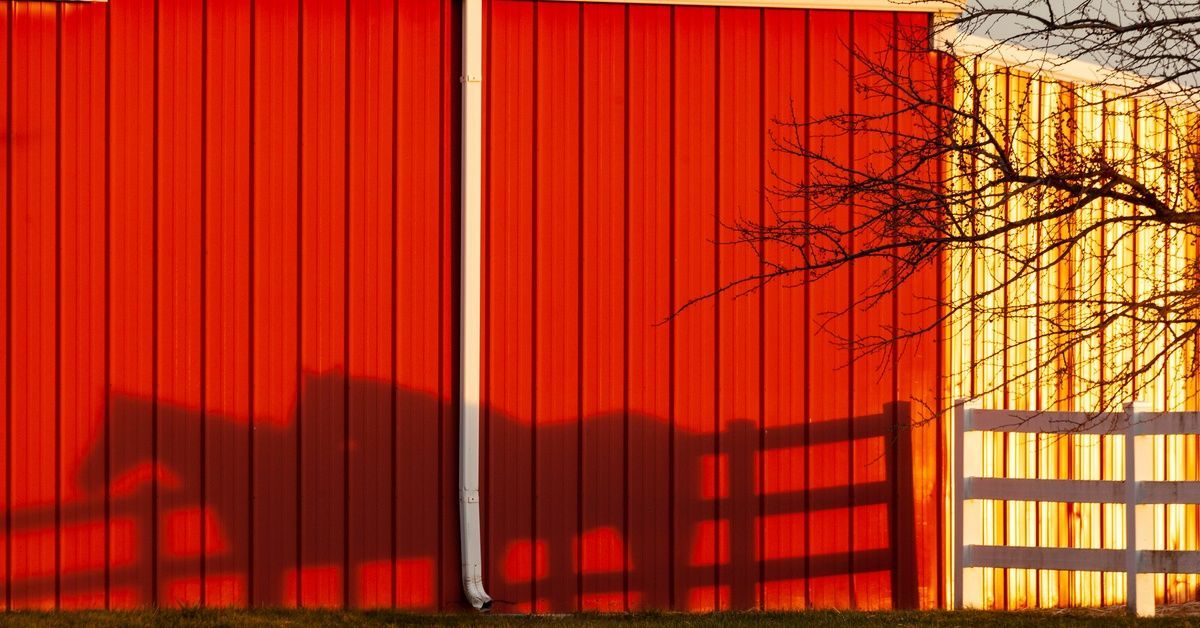 A shadow of two horses and the outline of a fence is cast on the side of a bright red barn next to a bare tree.