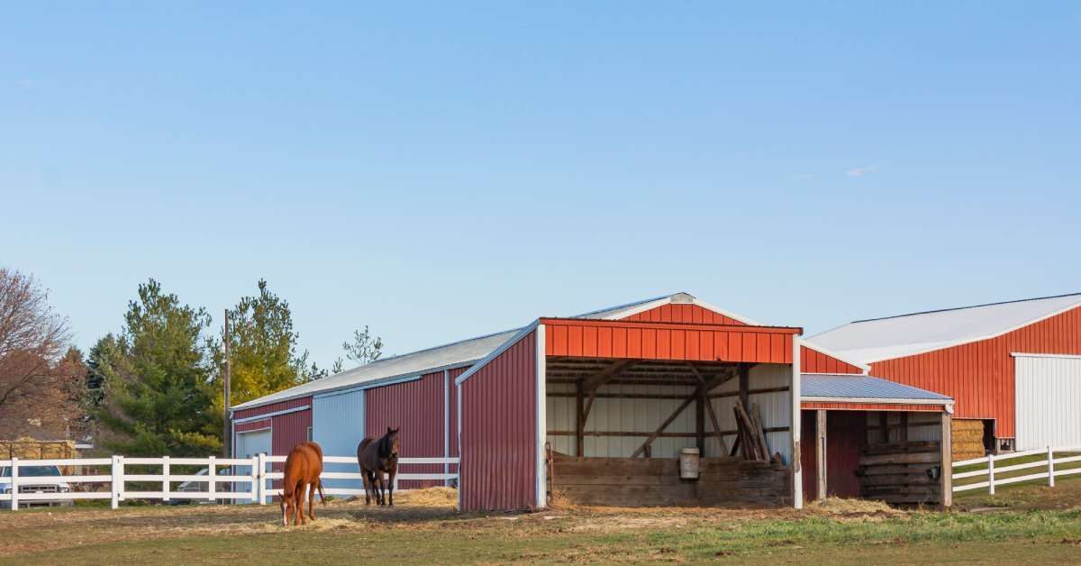 Why Choose a Pole Barn Over a Traditional Barn?