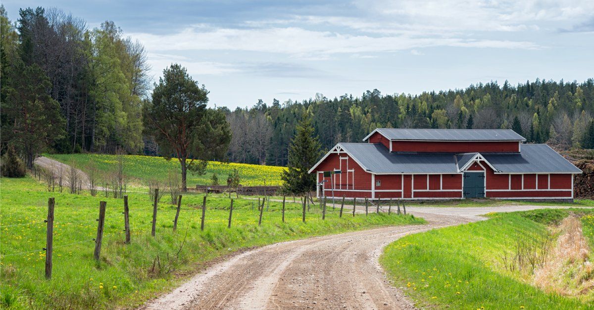 A long gravel driveway leading to a red barn with a gray roof. The barn is surrounded by green grass and mature trees.