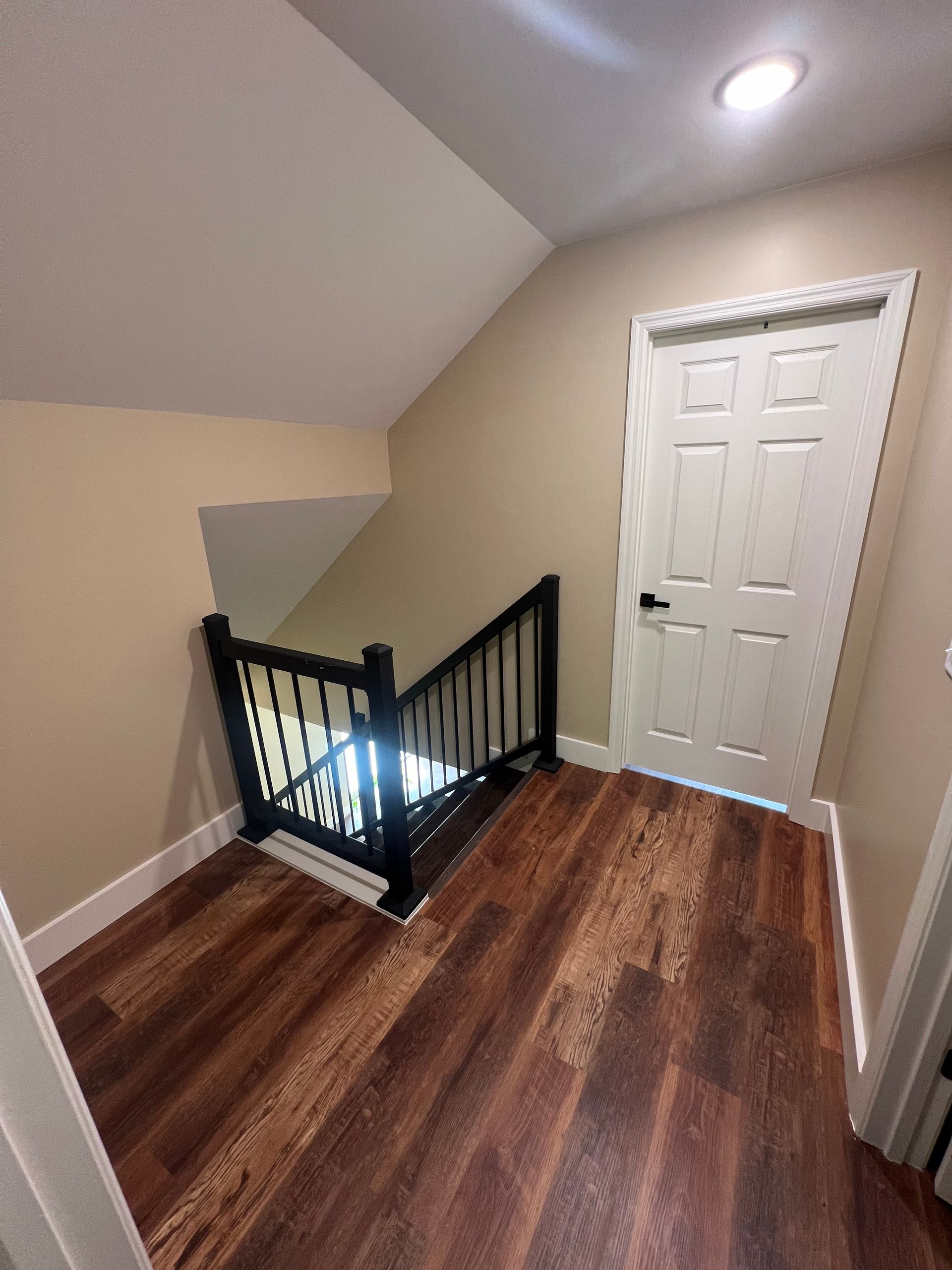 A small landing with stairs and a closed white door. Dark wood-look flooring and black stair railing.