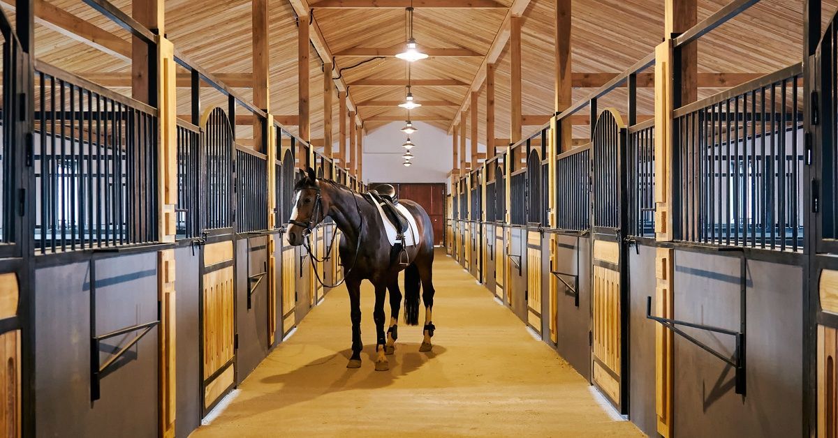 A brown thoroughbred horse wearing a bridle and saddle stands in the hallway of a large, clean horse barn.