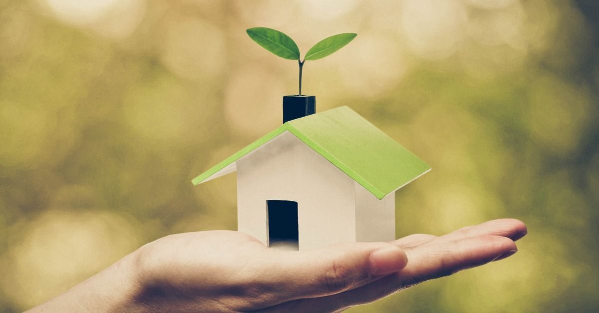 A hand holding a small green house model with a young plant growing from the roof.