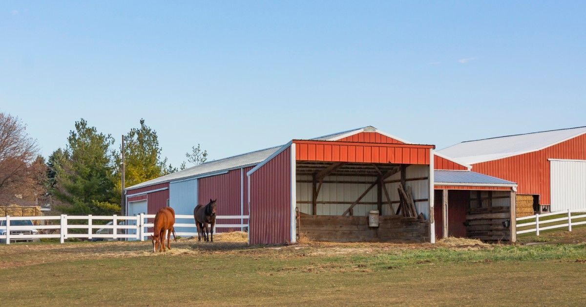 Two brown horses grazing next to a series of red and white metal pole barns built on a farm property