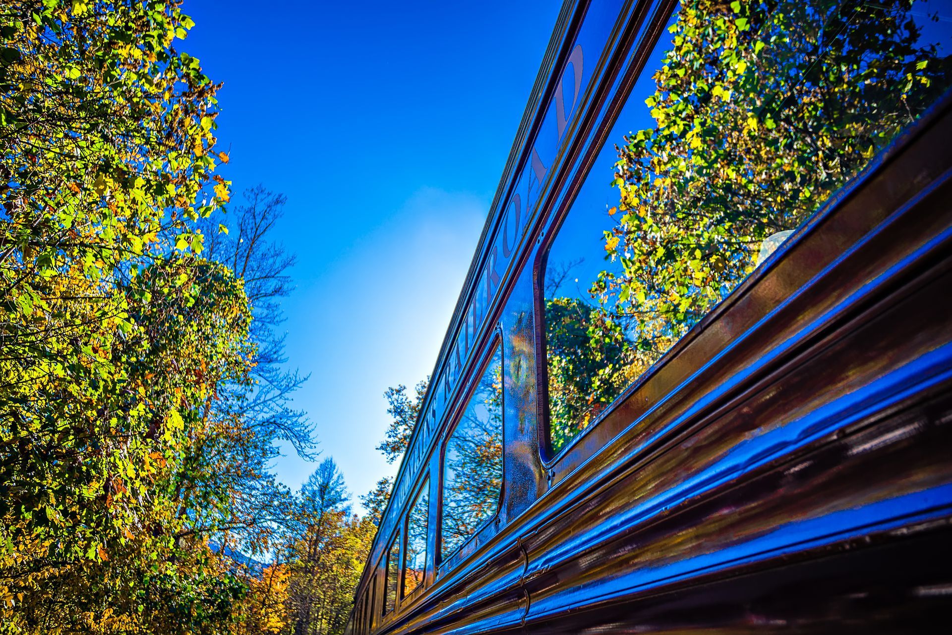 Train car with reflective windows, trees, and blue sky.