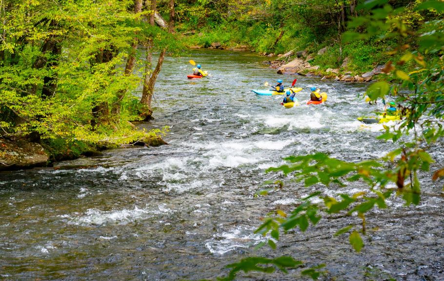 Kayakers navigate a whitewater river surrounded by lush green trees.