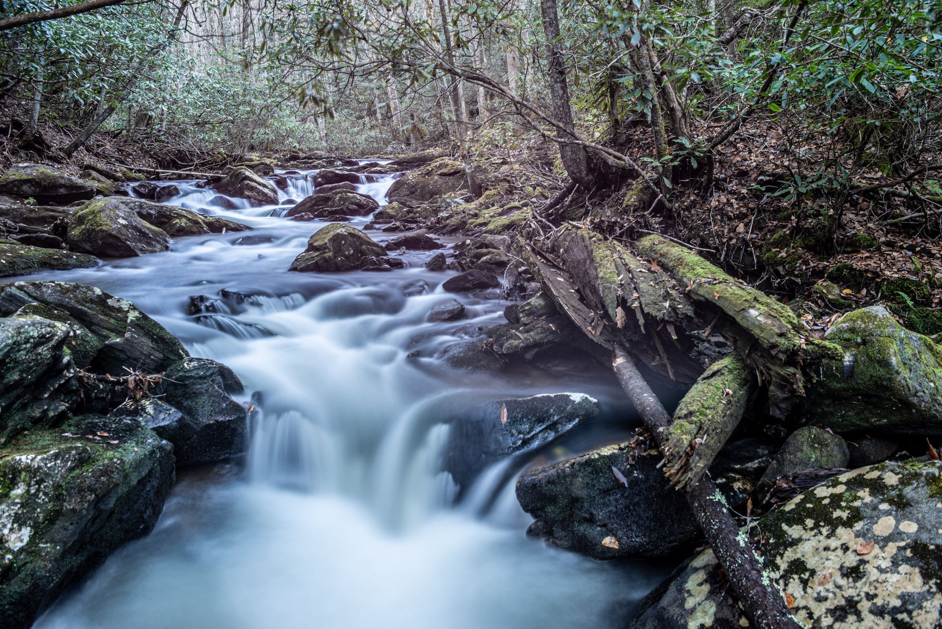 Fast-flowing stream cascading over rocks in a forest; long exposure creates blurred water.