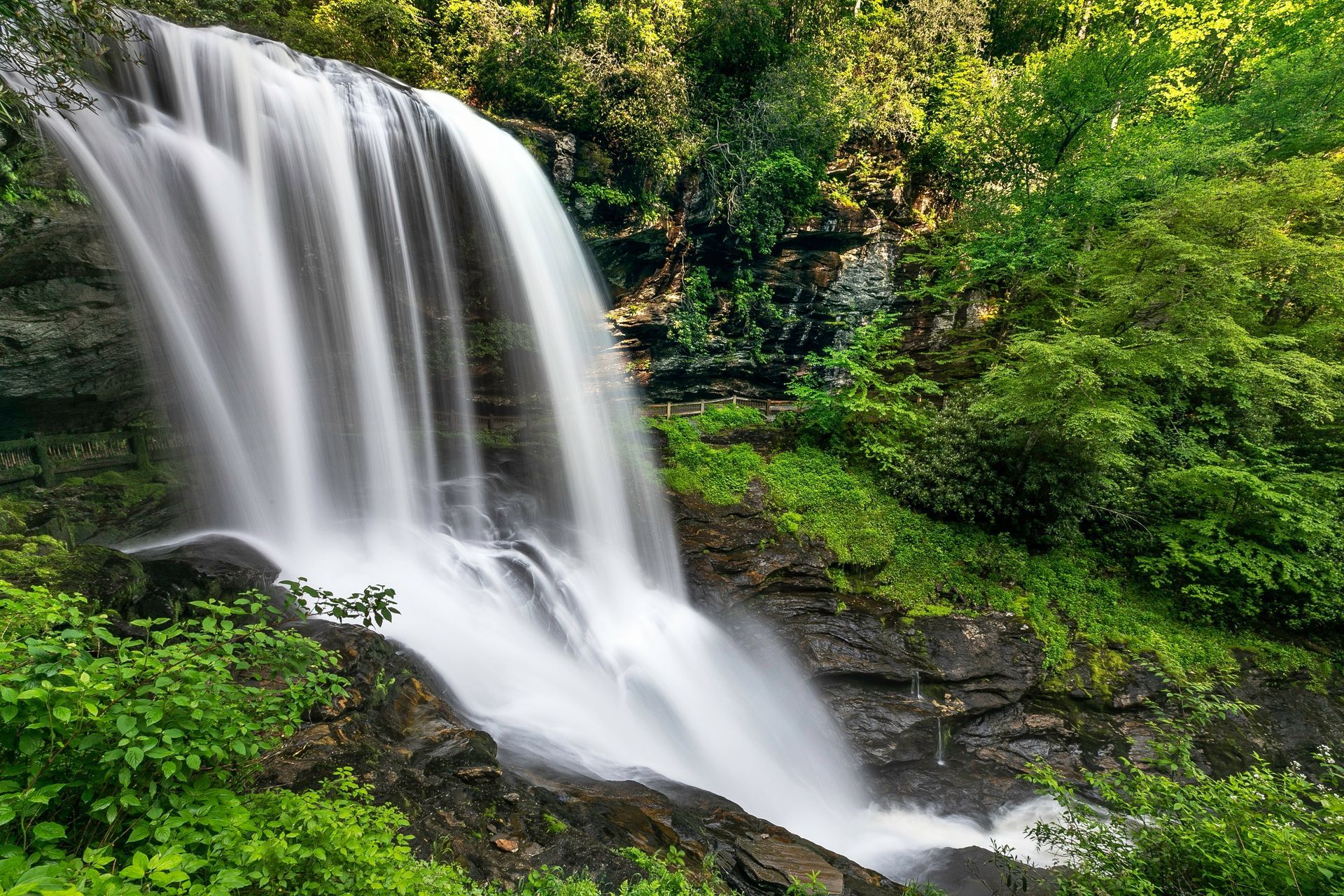 Waterfall cascading over rocks, surrounded by lush green foliage.