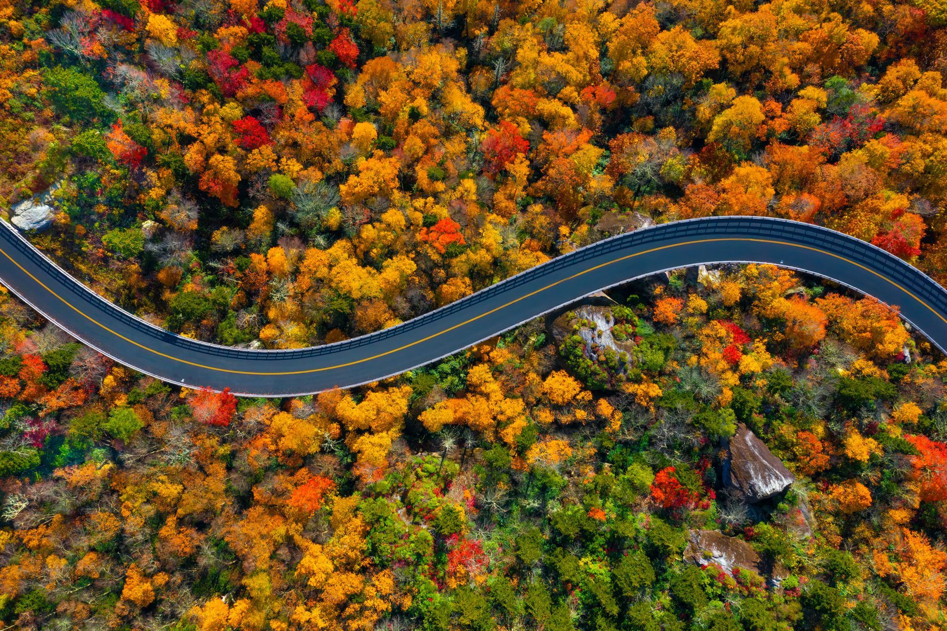 Winding road through forest with vibrant autumn foliage in shades of orange, yellow, and red.