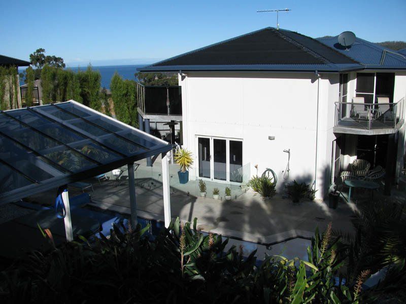 over head view of backyard