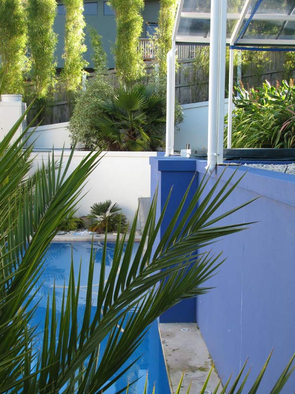 green foliage by pool