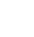 Lowcountry Limousine Icon