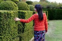 Hands on the hedge