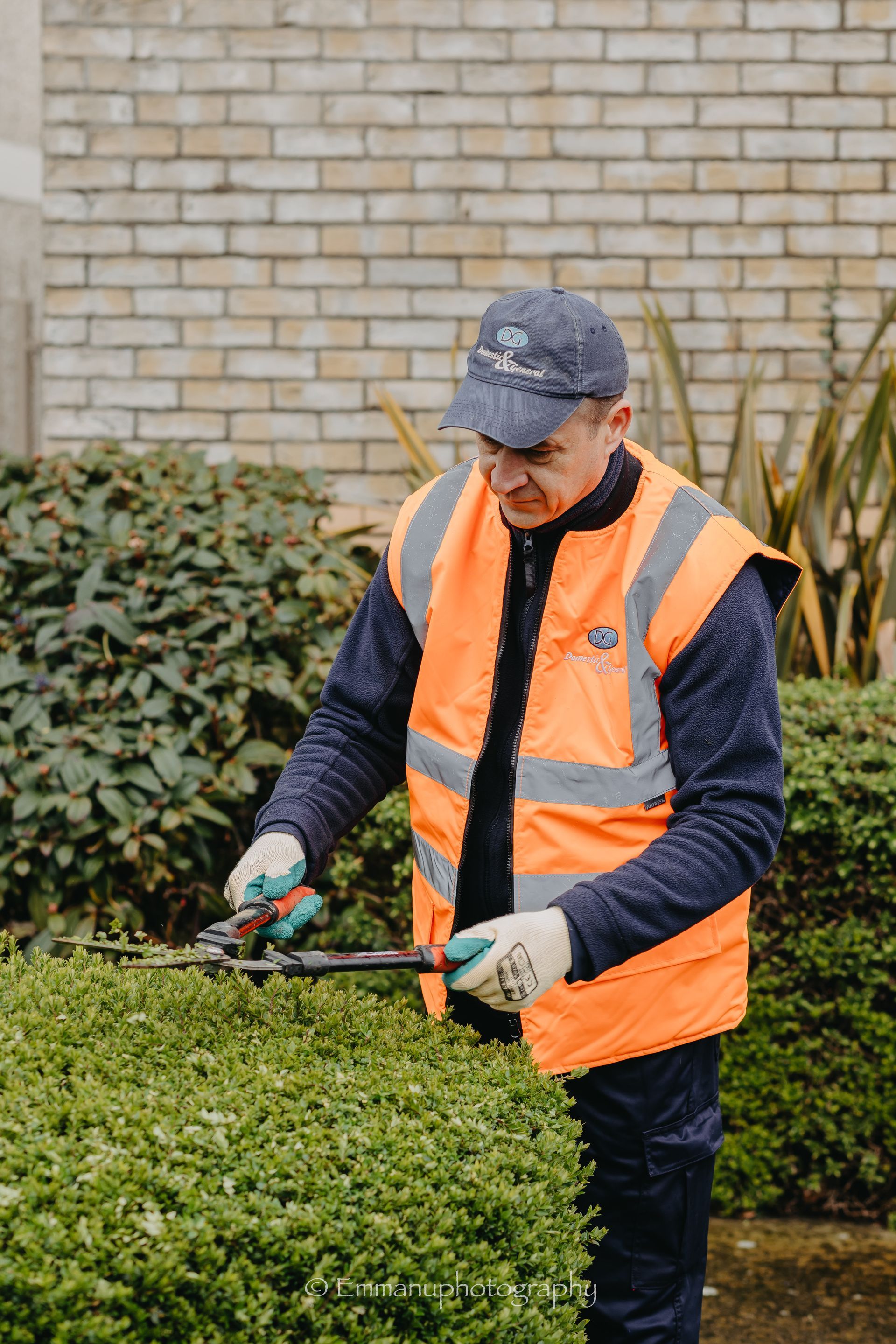 Grounds Maintenance & Landscaping by Domestic & General