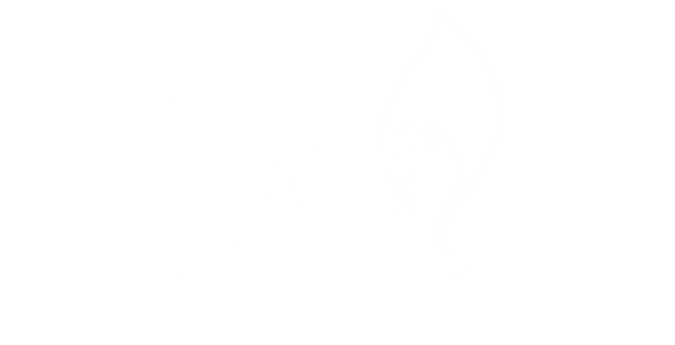RGI Registered Gas Installer - Property Management Support & Contract Cleaning in Dublin