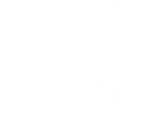 RGI Registered Gas Installer - Property Management Support & Contract Cleaning in Dublin