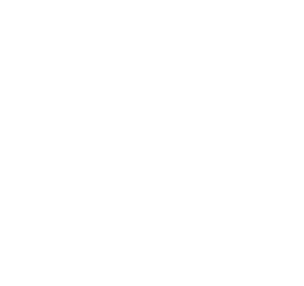 South Dublin Chamber Partner