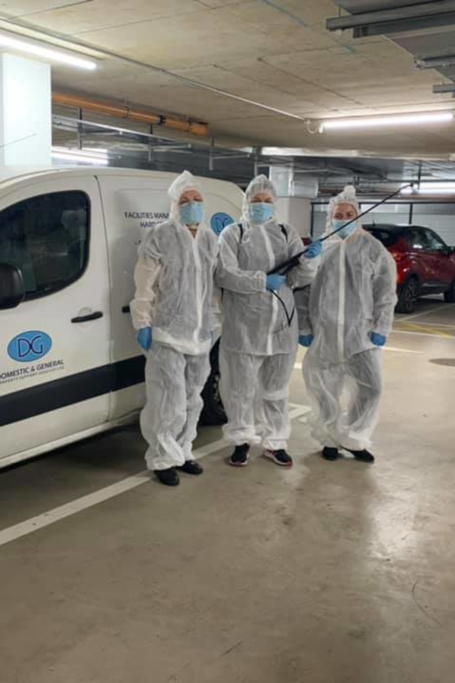 Commercial Pest Control & Hygiene Services in Dublin