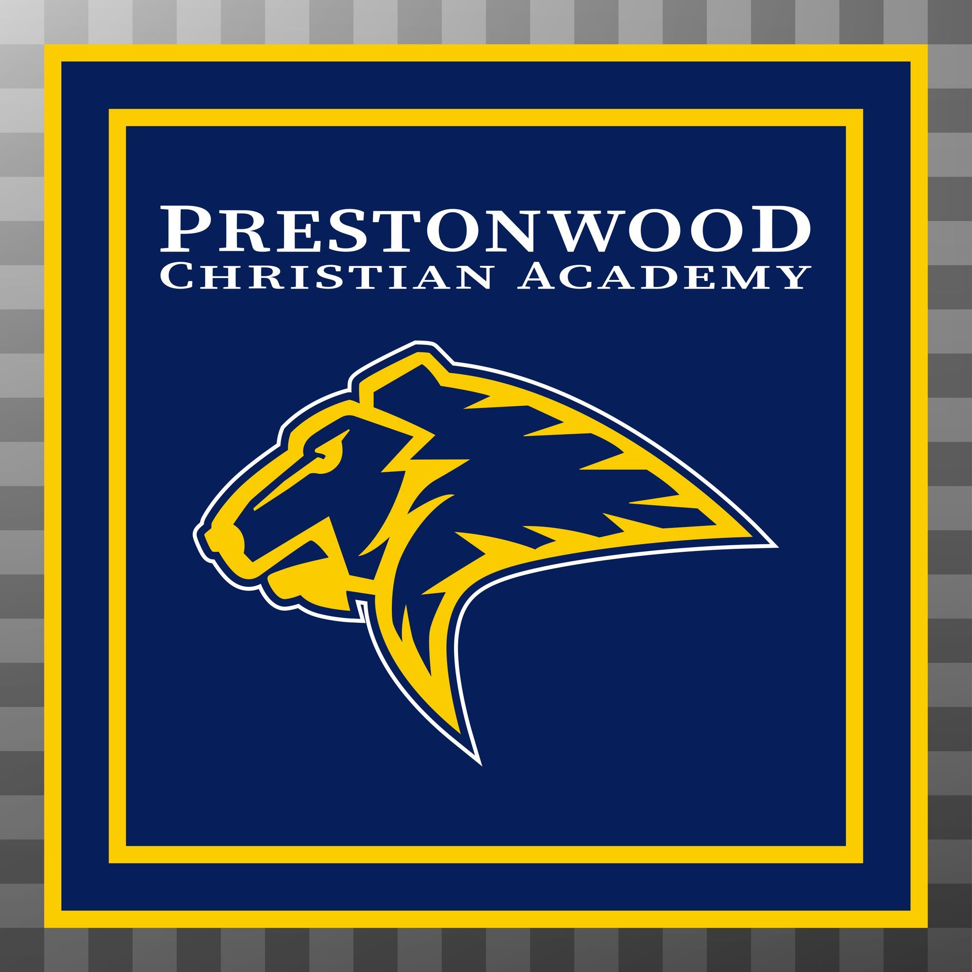 Custom sublimated apparel on premium polyester fabric like t-shirts, uniforms, polos, hoodies, bags, backpacks and blankets for school fundraisers, and school stores.