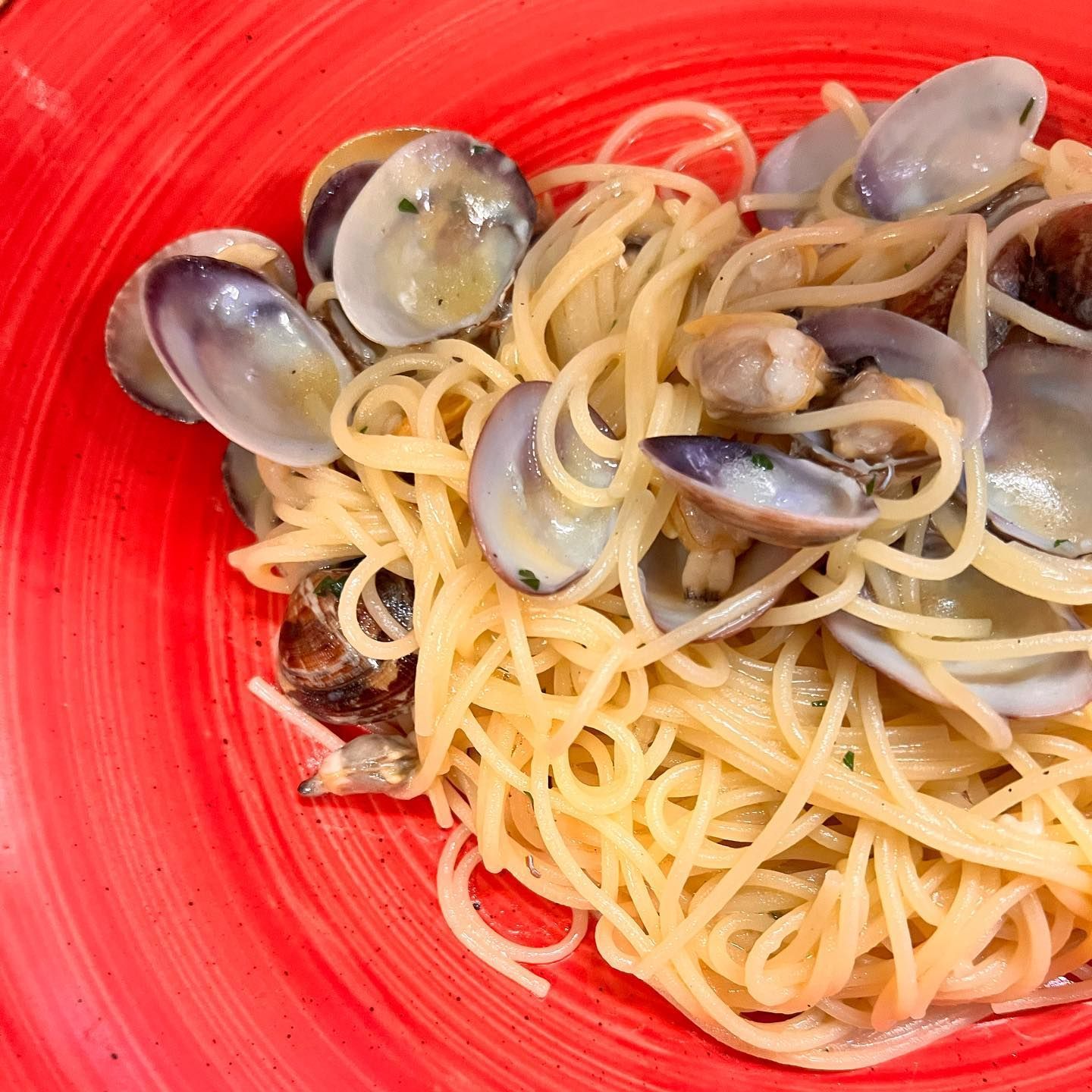 spaghetti e vongole veraci