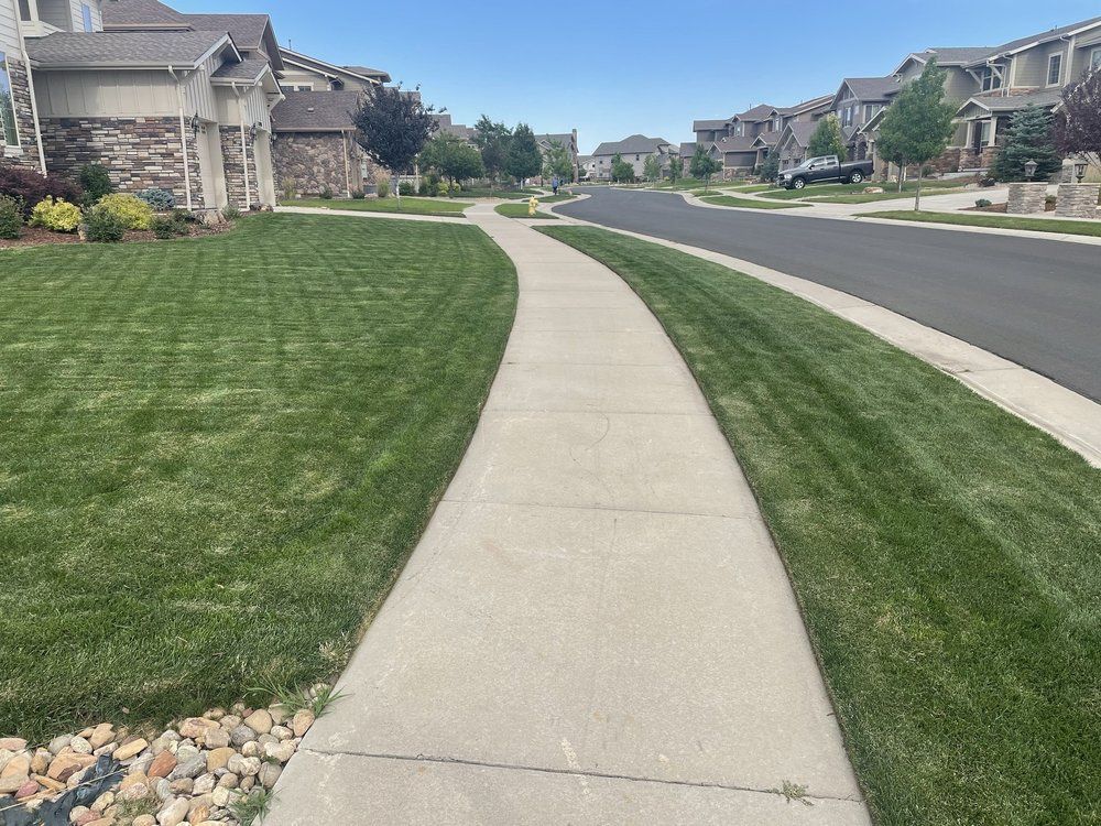 A sidewalk leading to a lush green lawn in a residential neighborhood.