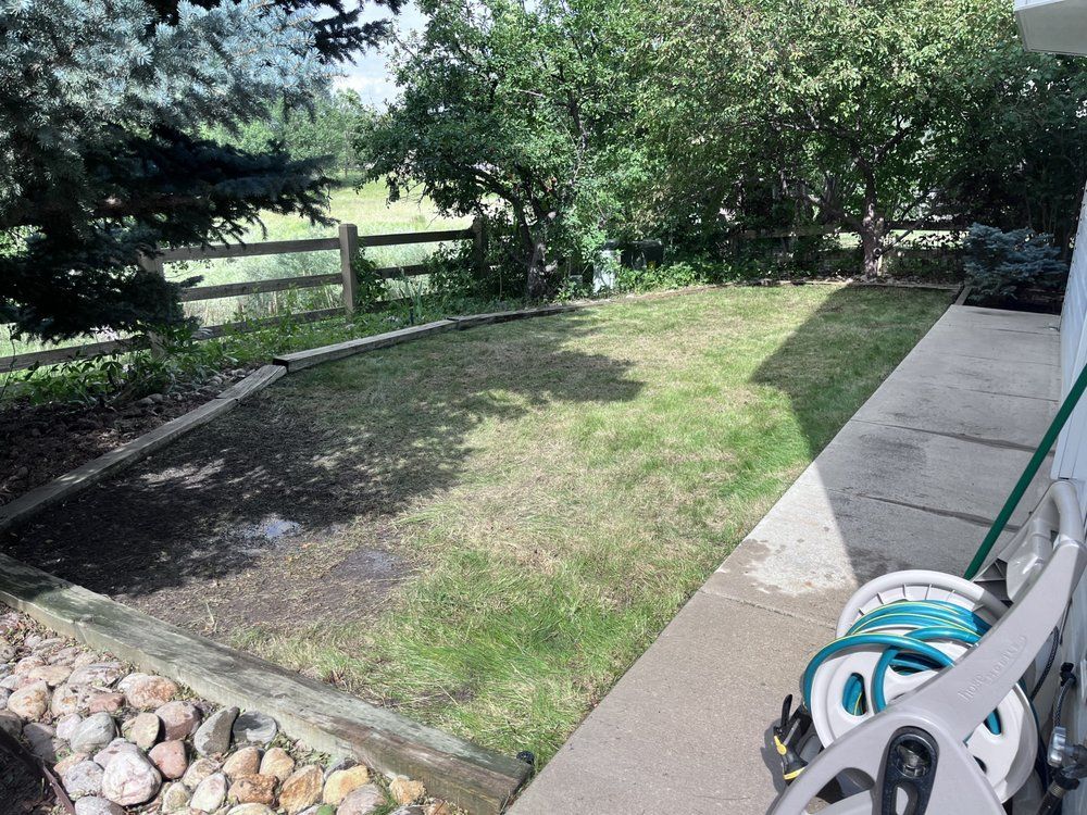A hose is sitting on the sidewalk next to a lawn.