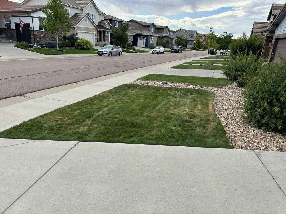 A residential neighborhood with a sidewalk and a lush green lawn.