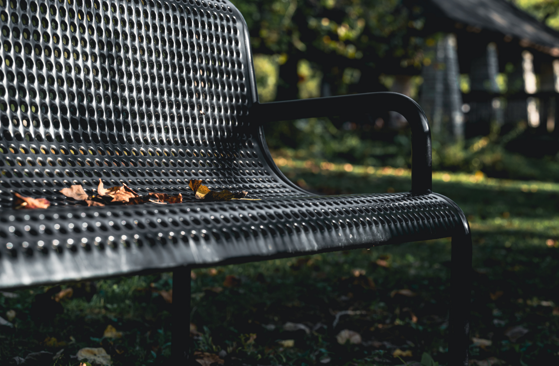 Perforated metal bench in a park; fallen leaves rest on the seat, background trees.