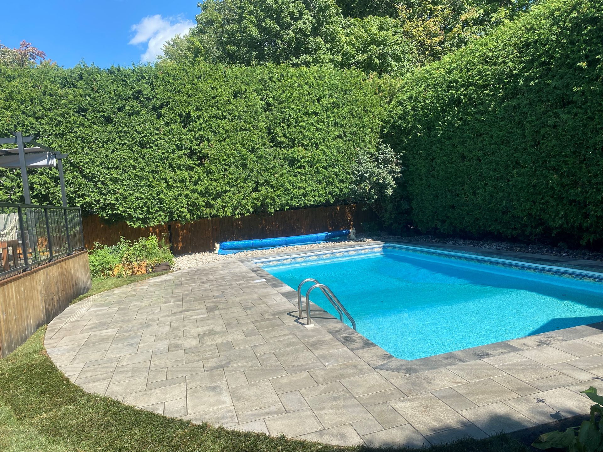 Une grande piscine dans une cour arrière entourée d'arbres et d'arbustes.